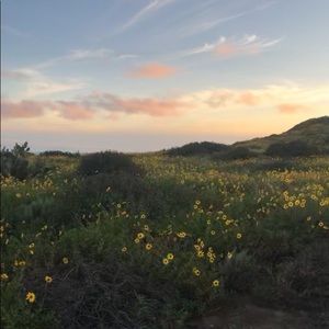 Meet your Posher, Alana